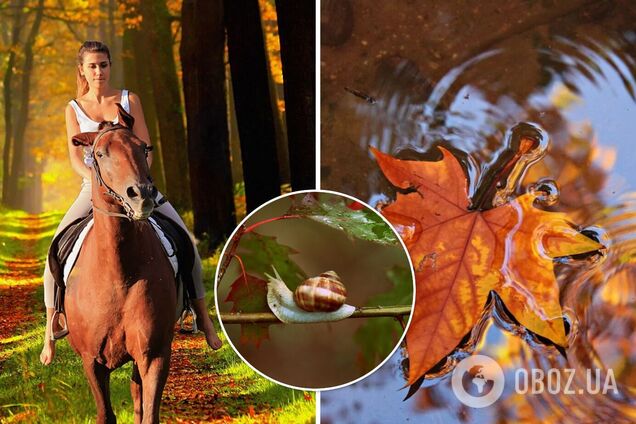 Осень начнется дождями, но с теплой ноты: синоптики дали прогноз на 1 сентября в Украине