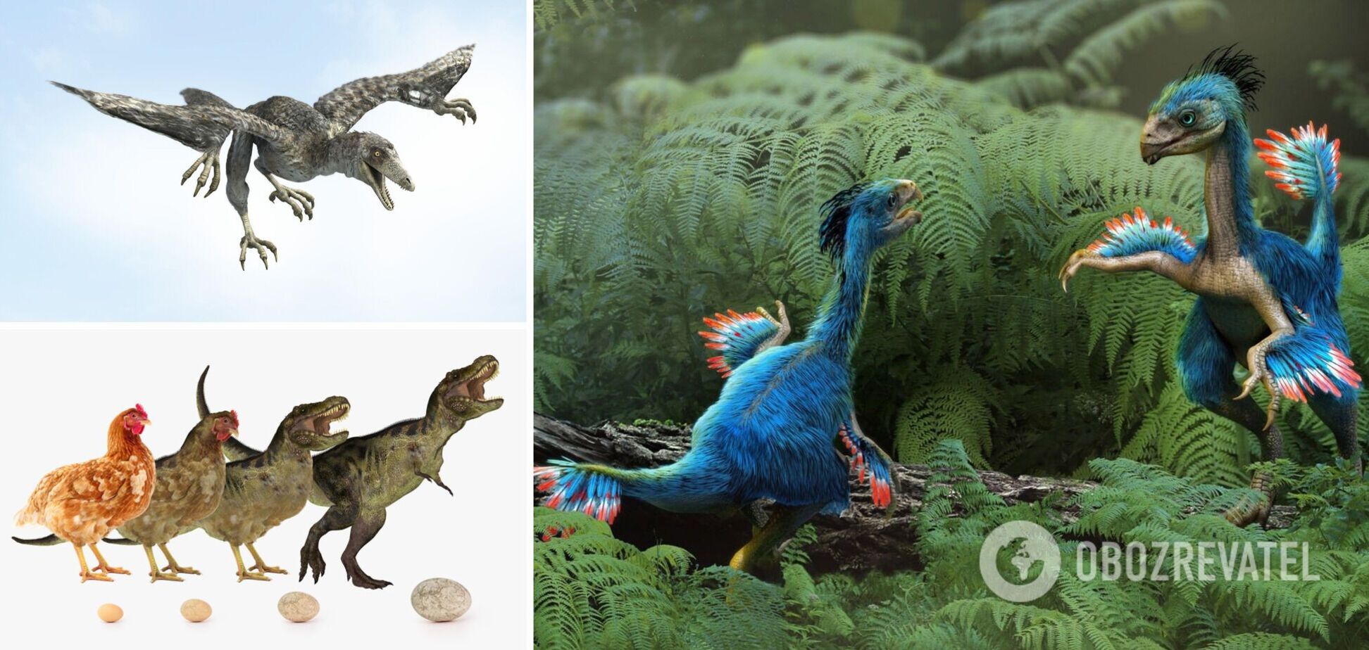 Ученые выяснили, почему птицы уцелели во время массового вымирания динозавров