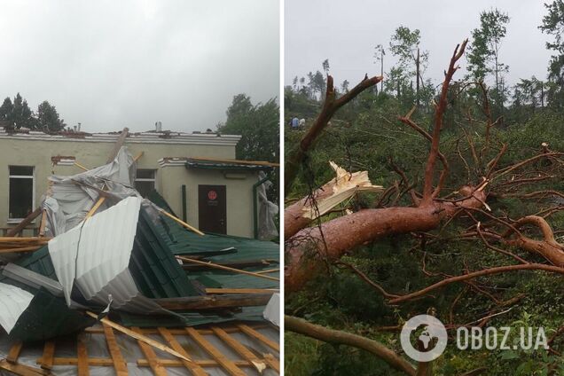 Больше 300 населенных пунктов Украины пострадали от непогоды: с домов срывало крыши и ломало деревья