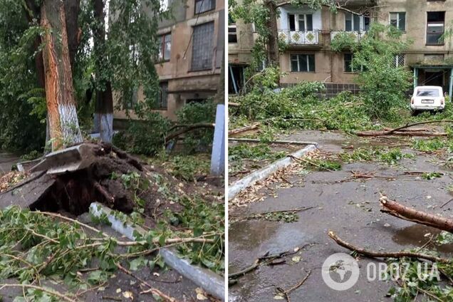 Вітер зривав дахи і валив дерева: в Одеській області пронісся потужний ураган. Фото
