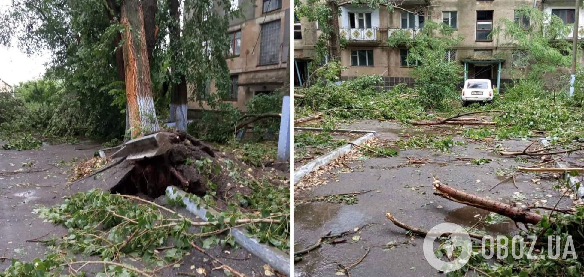 Ветер срывал крыши и валил деревья: в Одесской области пронесся мощный ураган. Фото