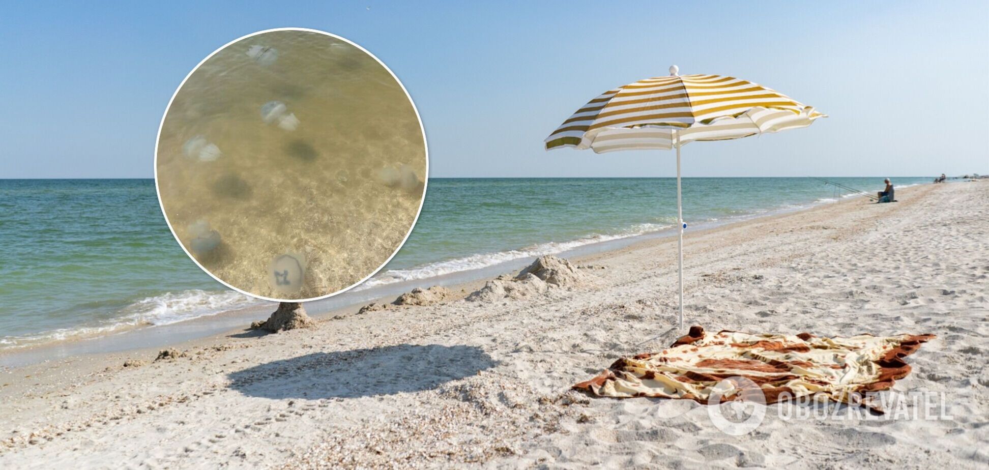 Туристы практически не купаются: Кирилловку снова атаковали медузы. Фото