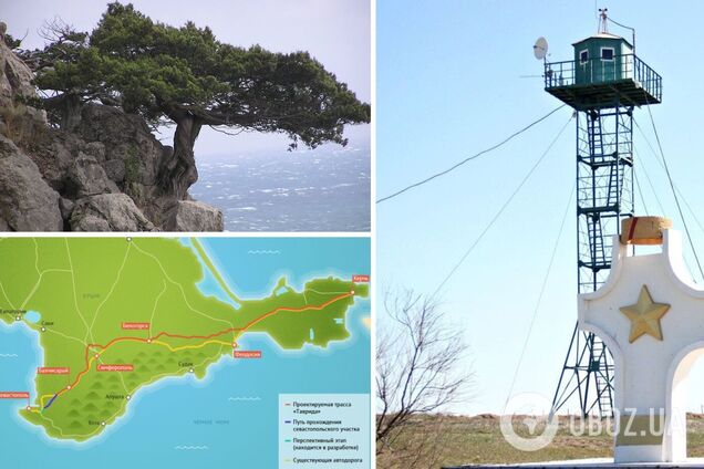 У Криму окупанти будуть рубати дерева з Червоної книги