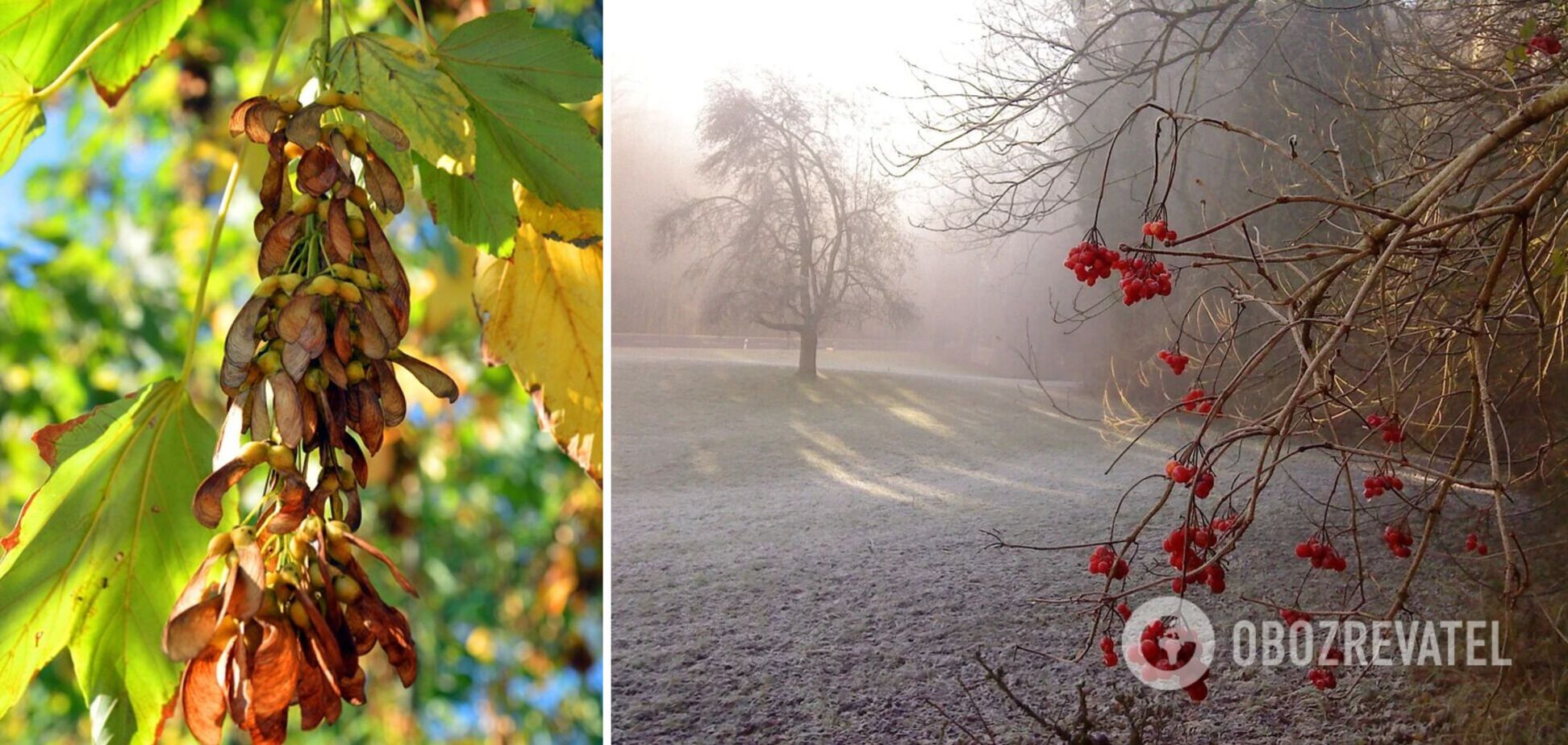 Листопад більше нагадуватиме зиму