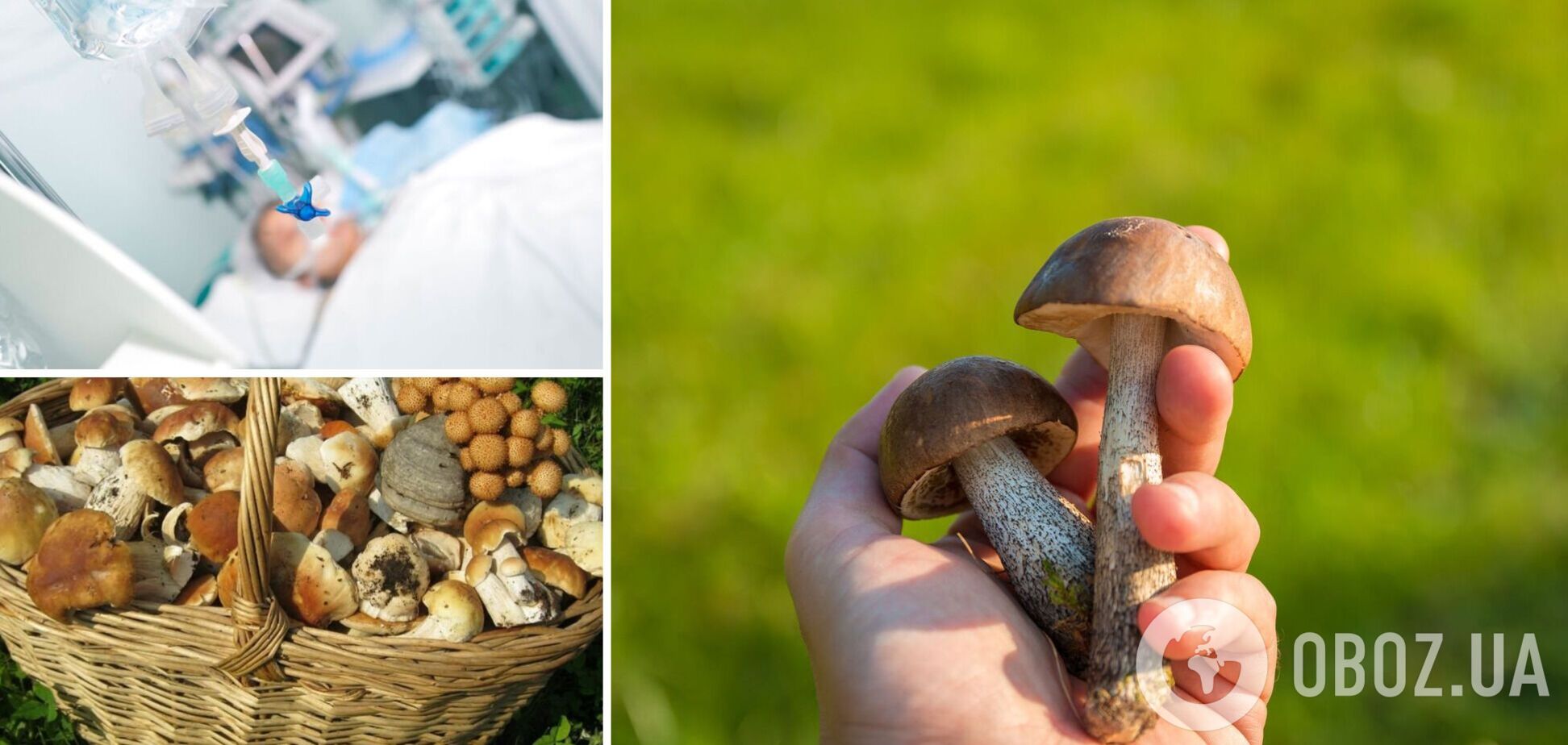 На Львівщині через отруєння грибами в реанімацію потрапили троє осіб
