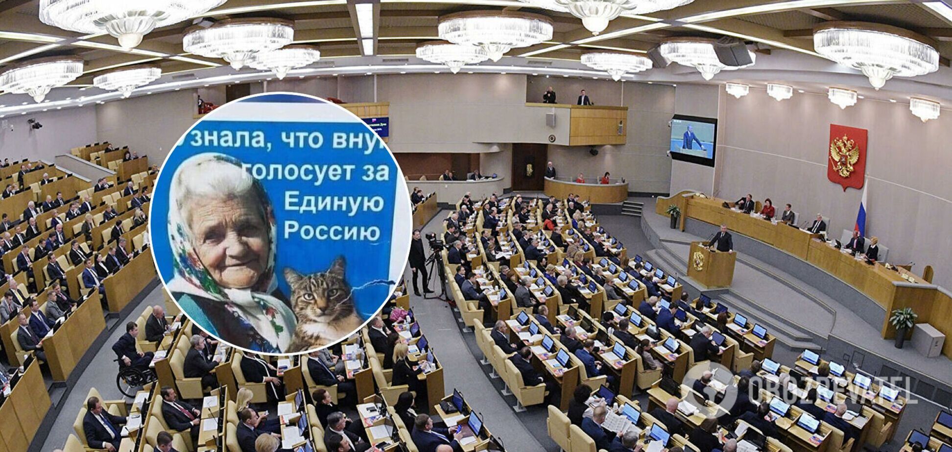 В России украли украинский мем о бабушке и коте. Фото