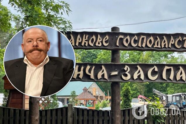 Пискун пояснил 'исчезновение' розеток на госдаче в Конча-Заспе, где он жил