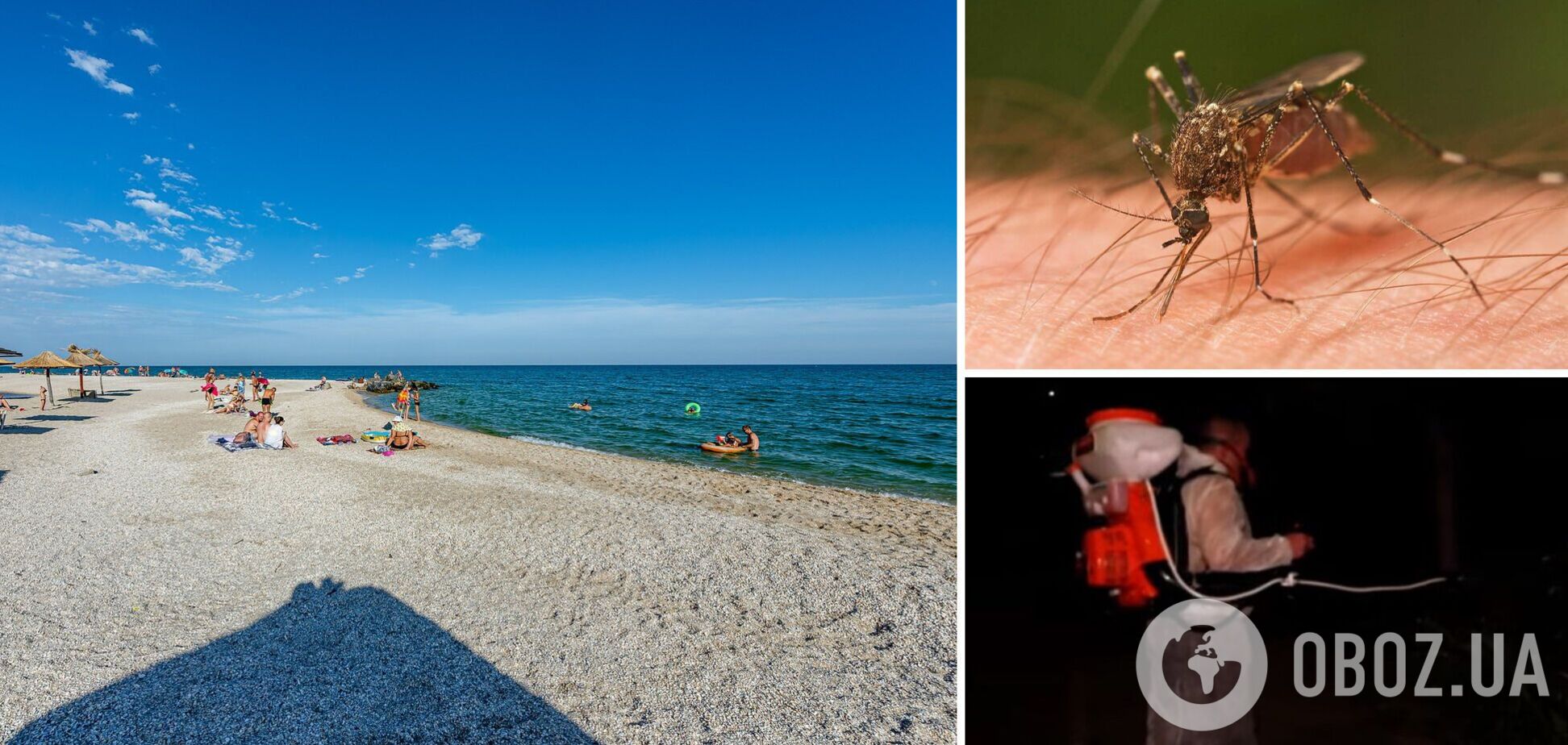 Комаров в Бердянске начали травить химией: люди не выходят на улицу после 9 часов вечера. Видео