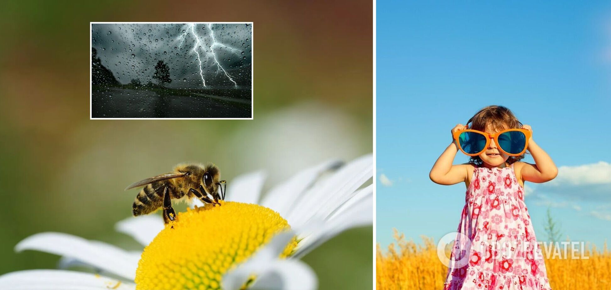 Погода в Украине до конца августа