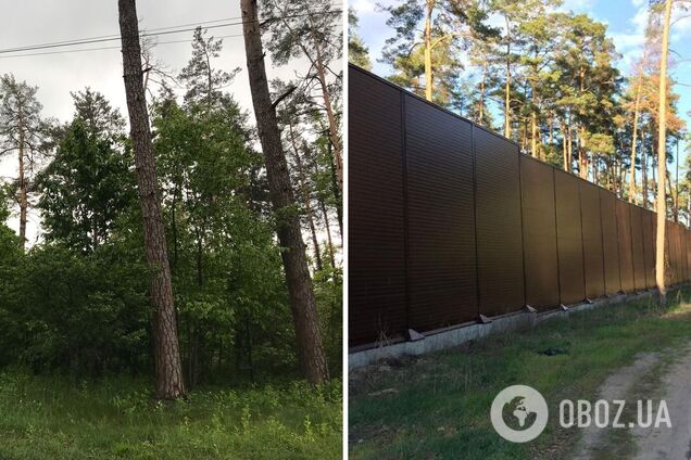 Мати глави митниці часів Януковича через суд повернула 14 га лісу під Києвом