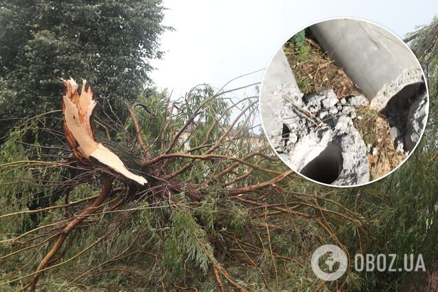 Вырывал деревья с корнем: на Киевщине пронесся мощный ураган. Видео