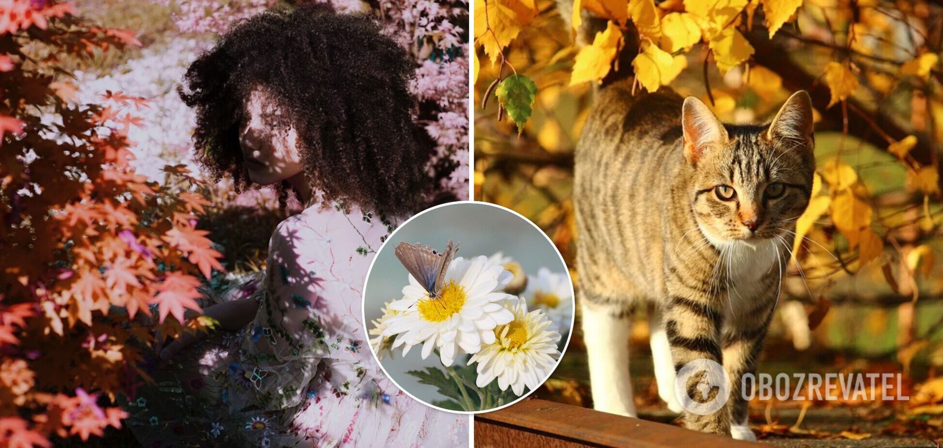 В Украину вернется летнее тепло: прогноз погоды на субботу