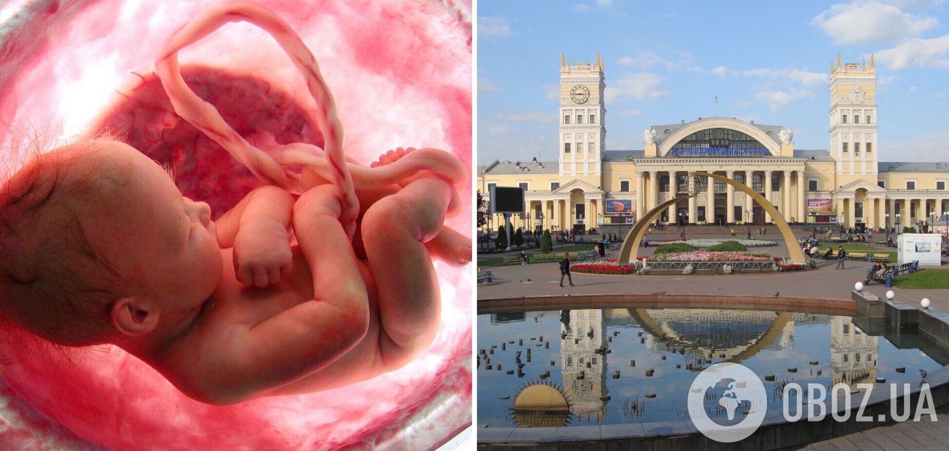 В Харькове посреди улицы выбросили недоношенного ребенка. Фото 18+