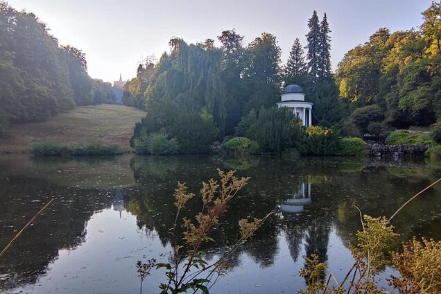 А точно немцы проиграли в той войне?