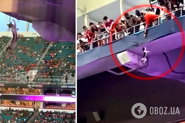 Кот на матче