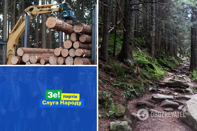 'Слуги народу' хочуть скасувати мораторій на експорт лісу-кругляка