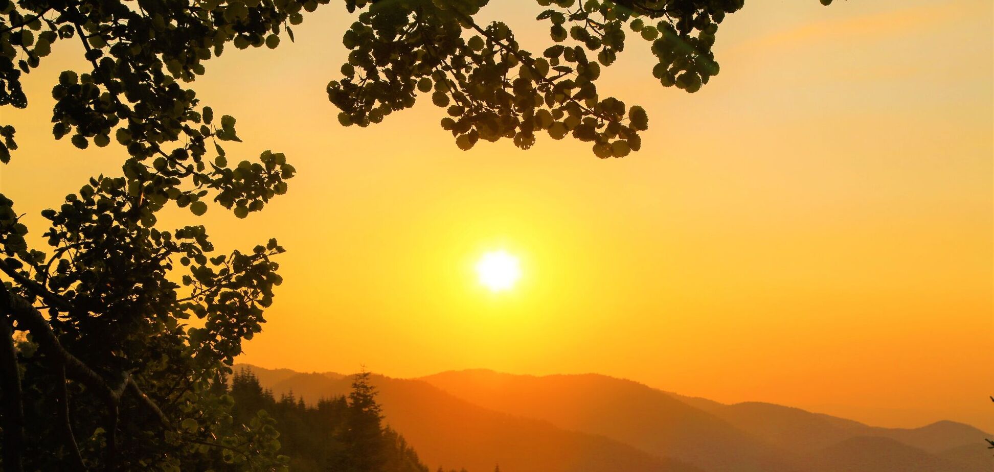 Приметы и праздник 14 сентября