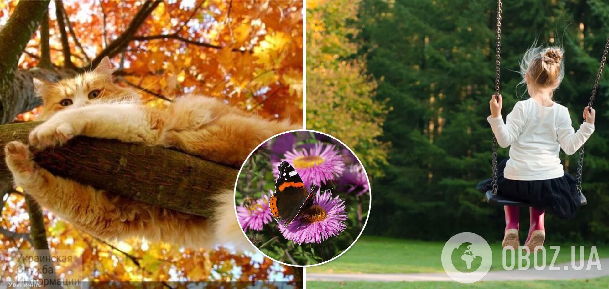 Наслаждаемся теплом: синоптики прогнозируют последний день 'бабьего лета'