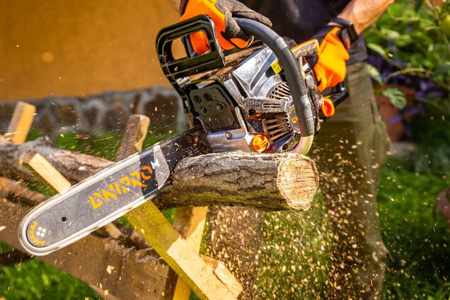 Чем обрезать деревья осенью: тест-драйв бензопил от мастера