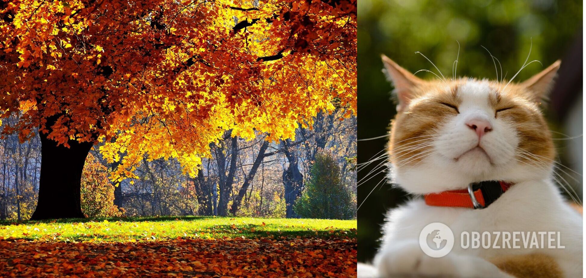 Погода в Украине