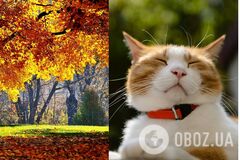 Погода в Украине