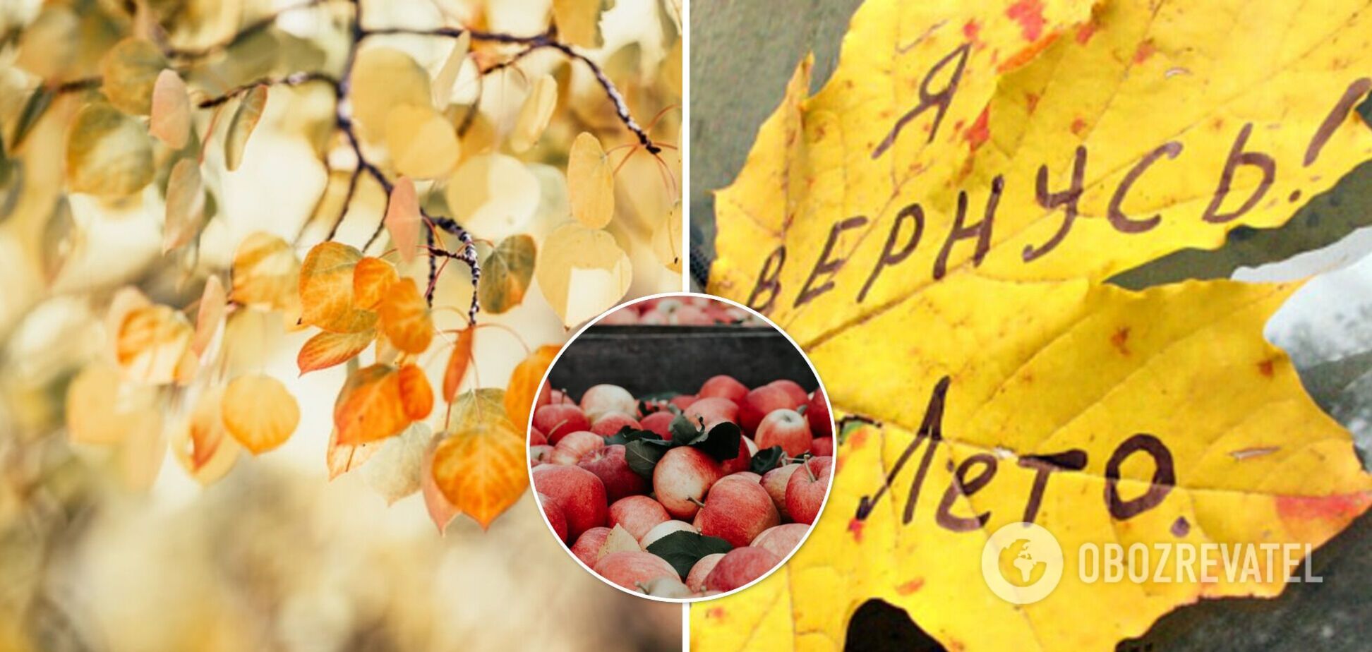 В Україну прийде ще одна хвиля тепла: Кульбіда озвучив детальний прогноз