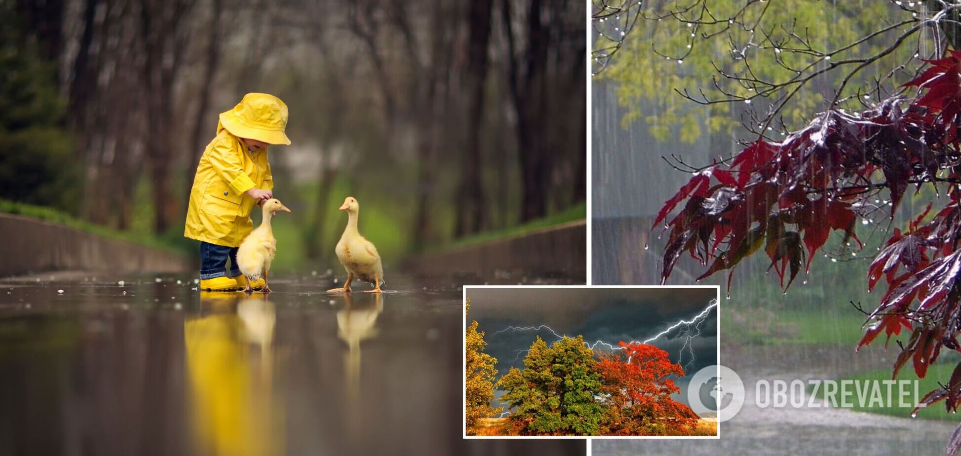 Прогноз погоды в Украине