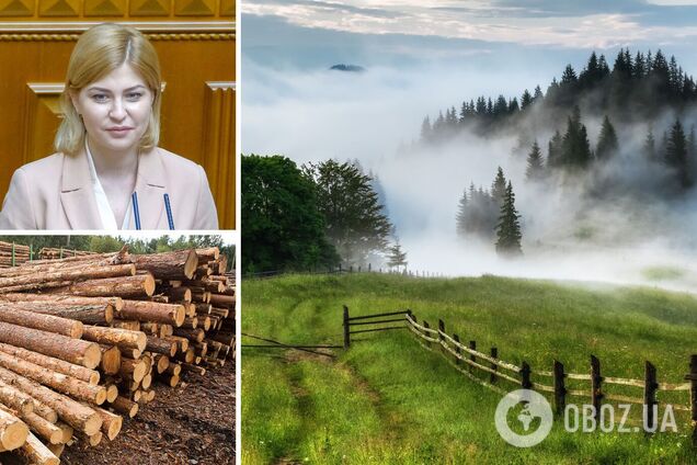 Стефанишина выступила за отмену моратория на экспорт леса-кругляка