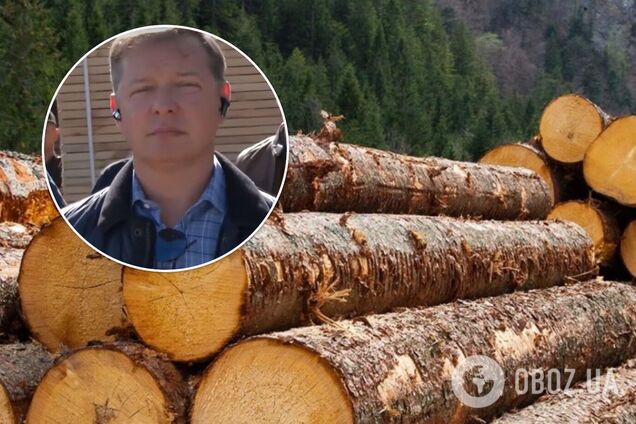 Ляшко призвал не убивать украинскую деревообработку