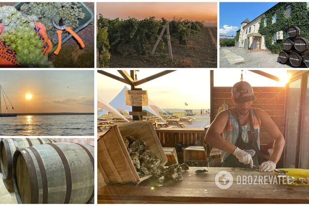 Куди поїхати в Україні: Коблево – українська столиця вина і устриць. Фото