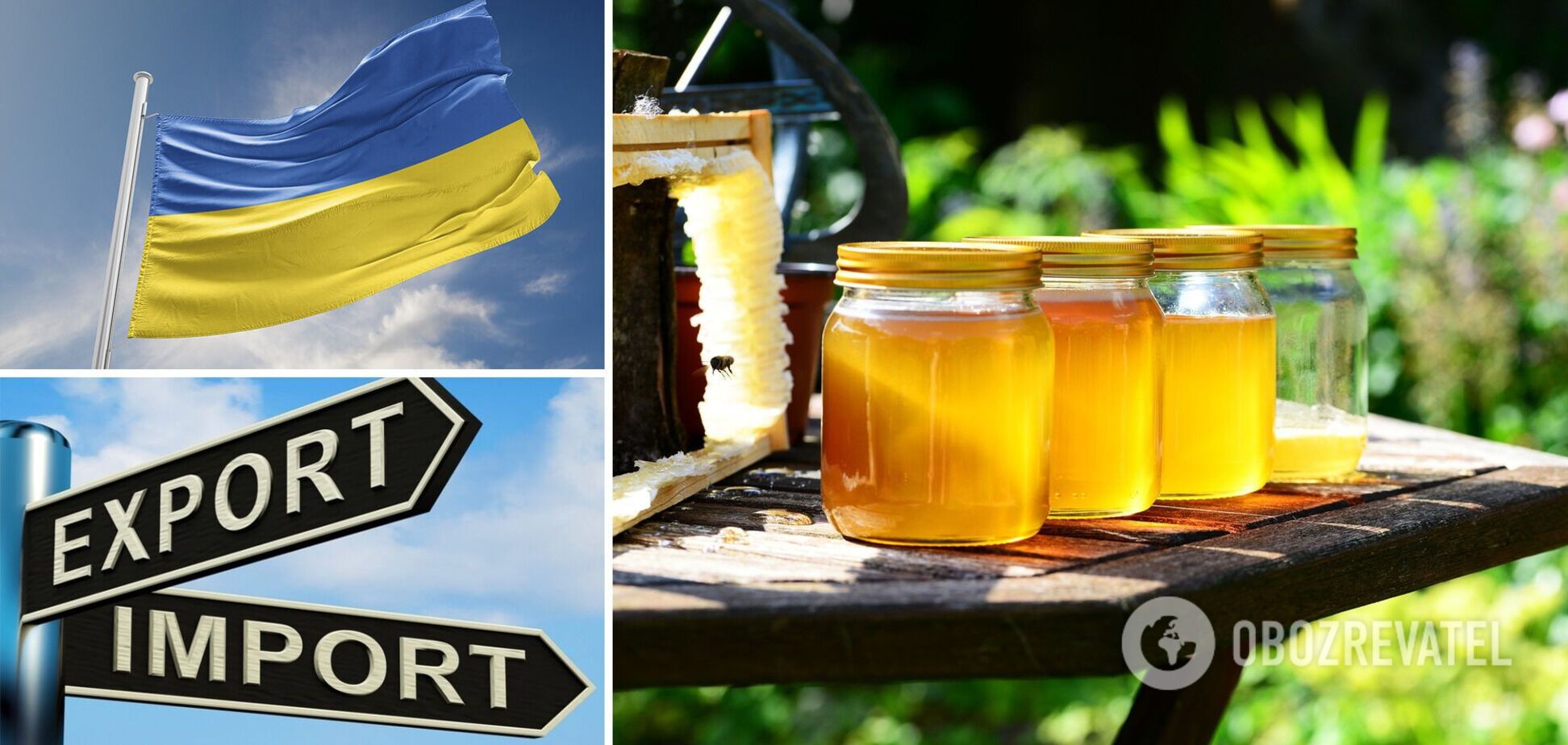 В Украине взлетело производство меда: скупают по дешевке