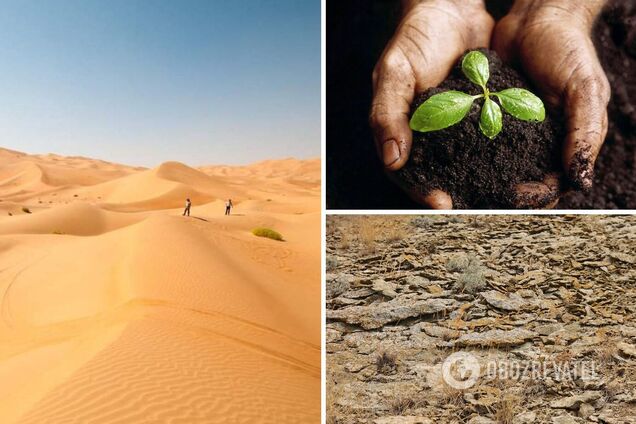 Частина України через 30 років може перетворитися на пустелю, – вчений