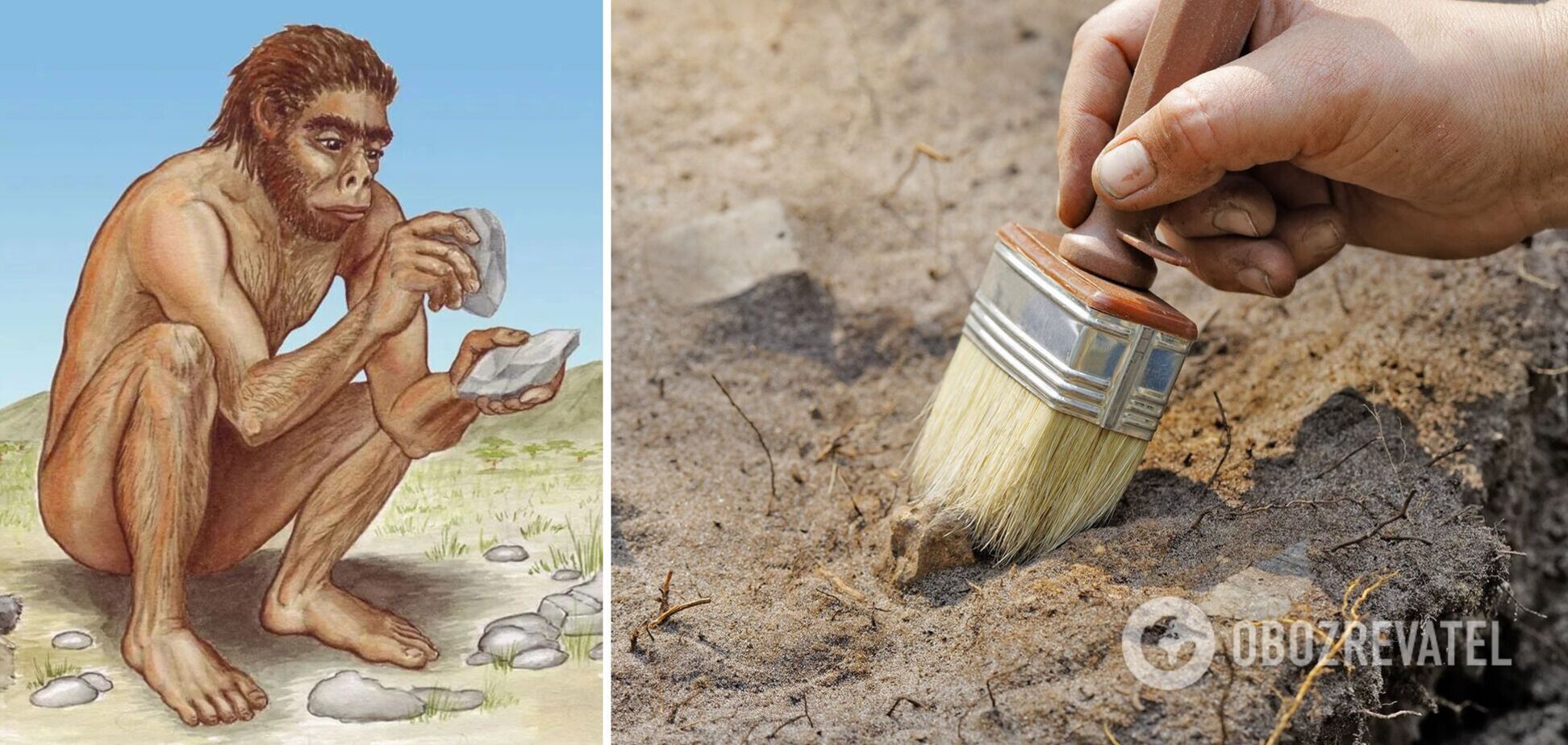 Орудия труда сделаны из костей животных