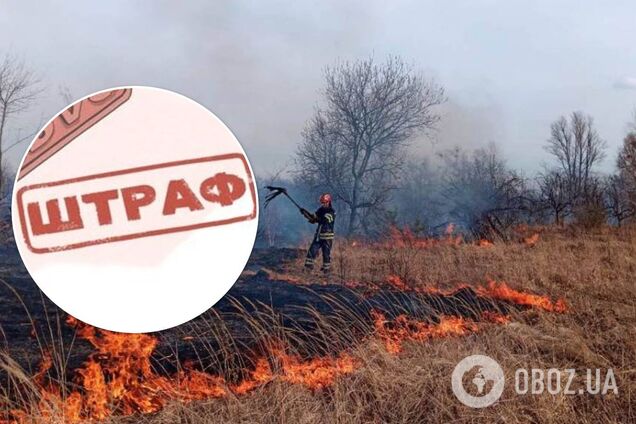 Як оштрафують за спалювання листя