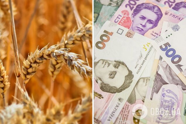 Урожай зерна: Украина может прокормить еще и Катар?