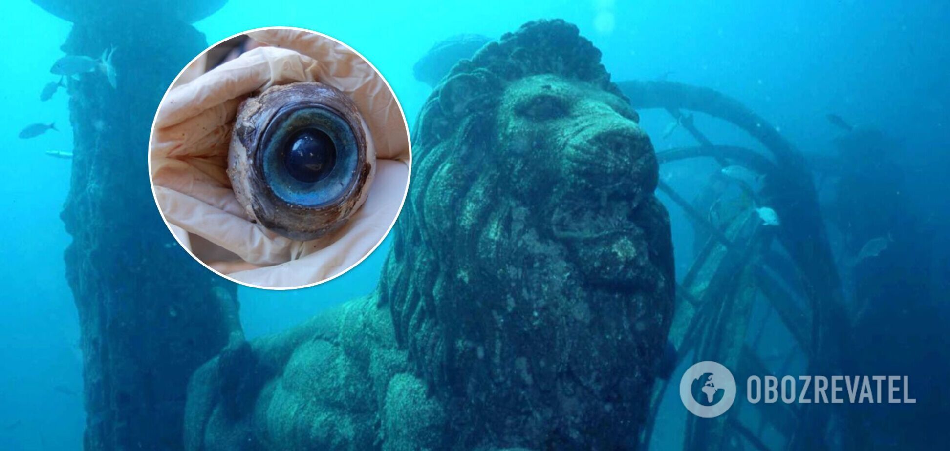 На дне водоемов лежат жуткие вещи, которые напугают каждого