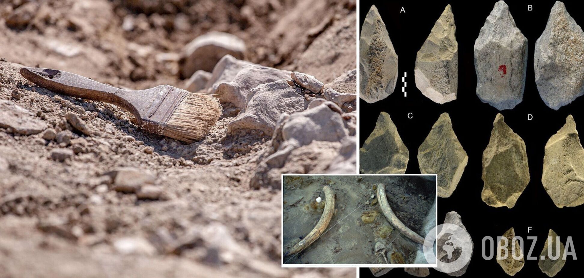 В Італії виявили величезну колекцію кістяних знарядь, яким 400 тисяч років. Фото