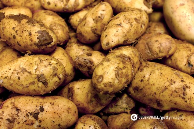 Украинцев предупредили о дефиците картошки: в продажу идет даже неликвид