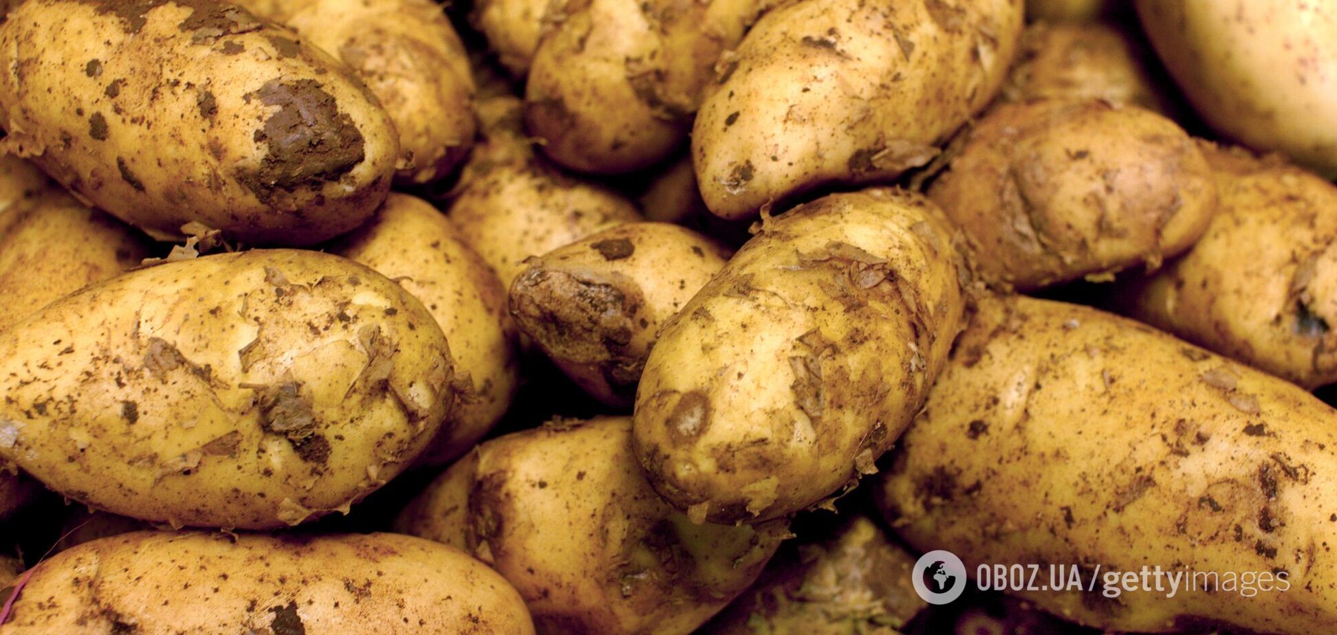 Українців попередили про дефіцит картоплі: у продаж йде навіть неліквід