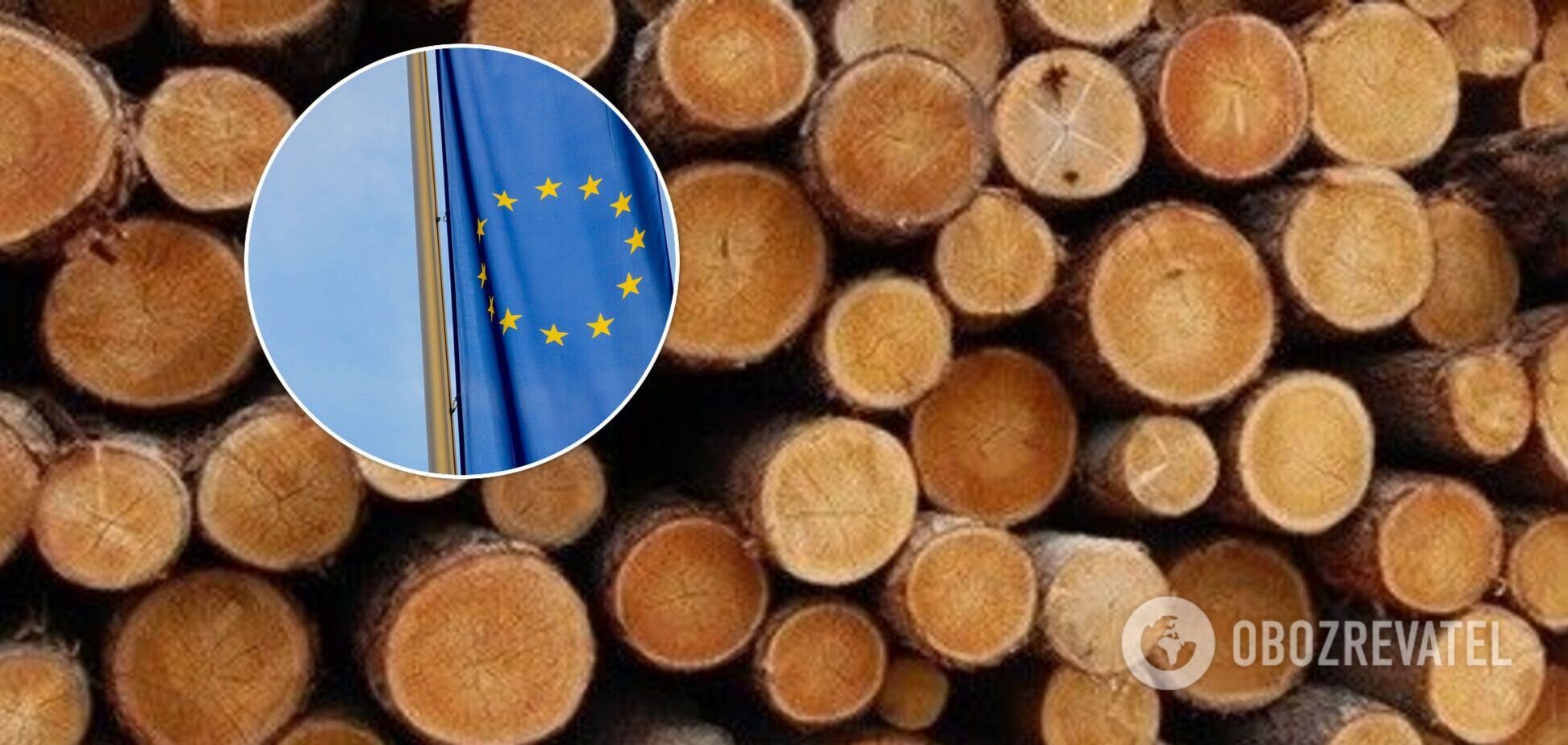 В ЕК заявили, что продажа леса-кругляка из Украины за рубеж неразумна
