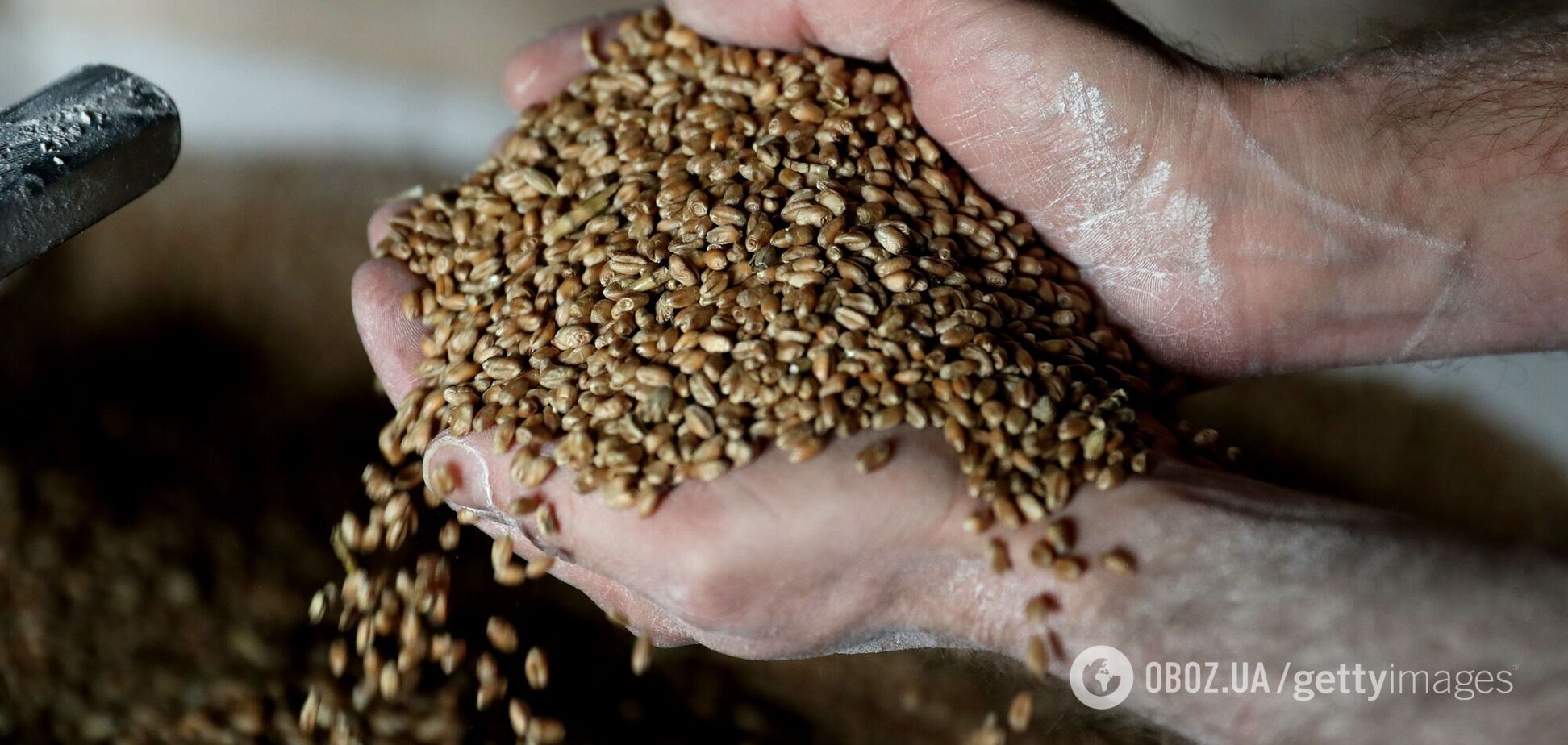 Запасы зерна в Украине критически упали: почему и чем это грозит