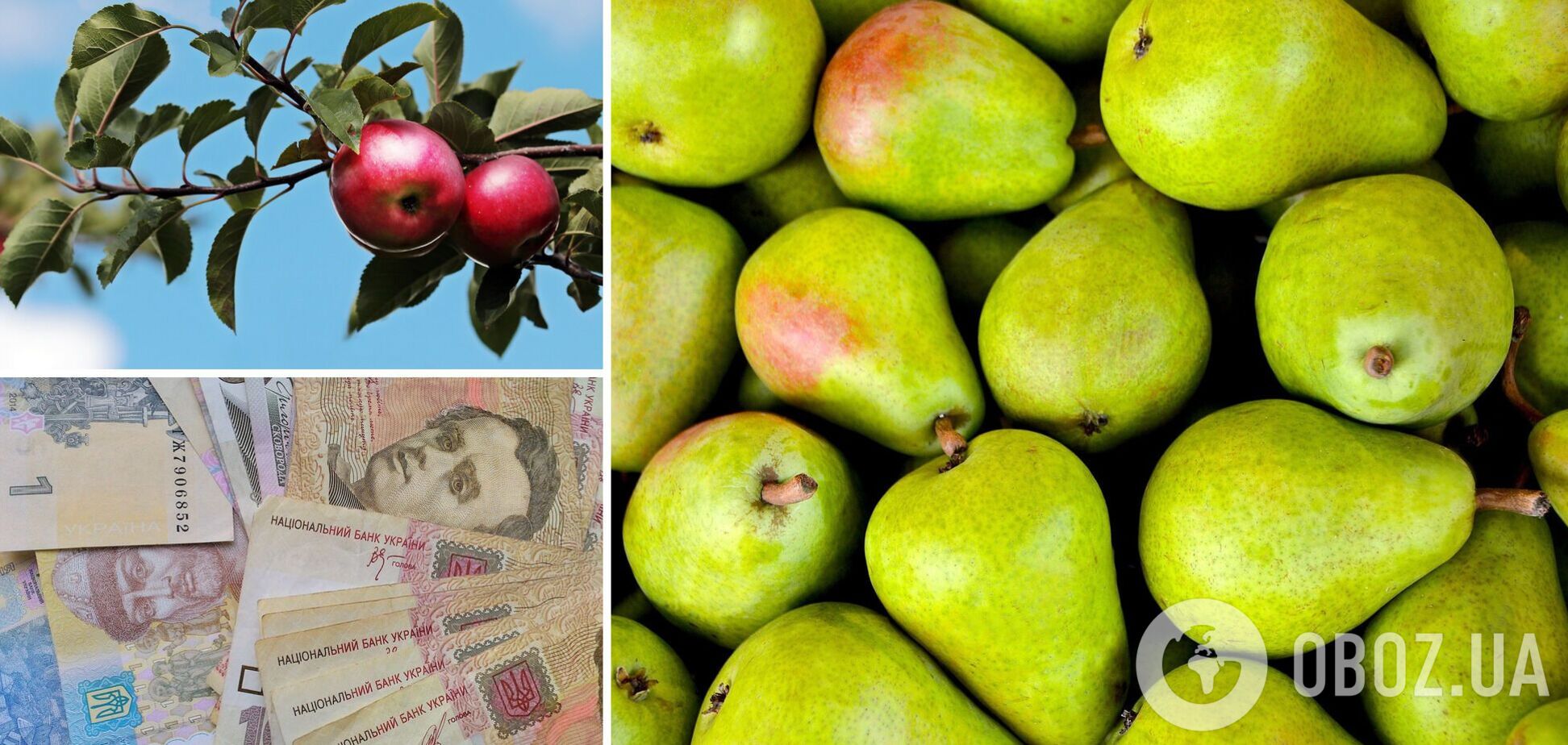 Цены на ягоды и яблоки в Украине снизились, груши – дорогие: сколько стоят фрукты