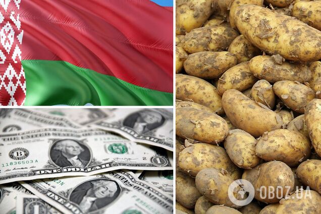 Беларусь скупает украинскую картошку во время уборки урожая