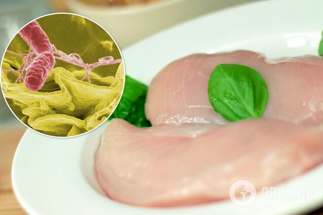 В Украину завезли 4 тонны индейки с сальмонеллой из Польши