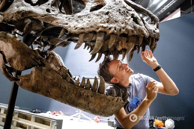Ученые выяснили, зачем динозаврам нужны были длинные хвосты