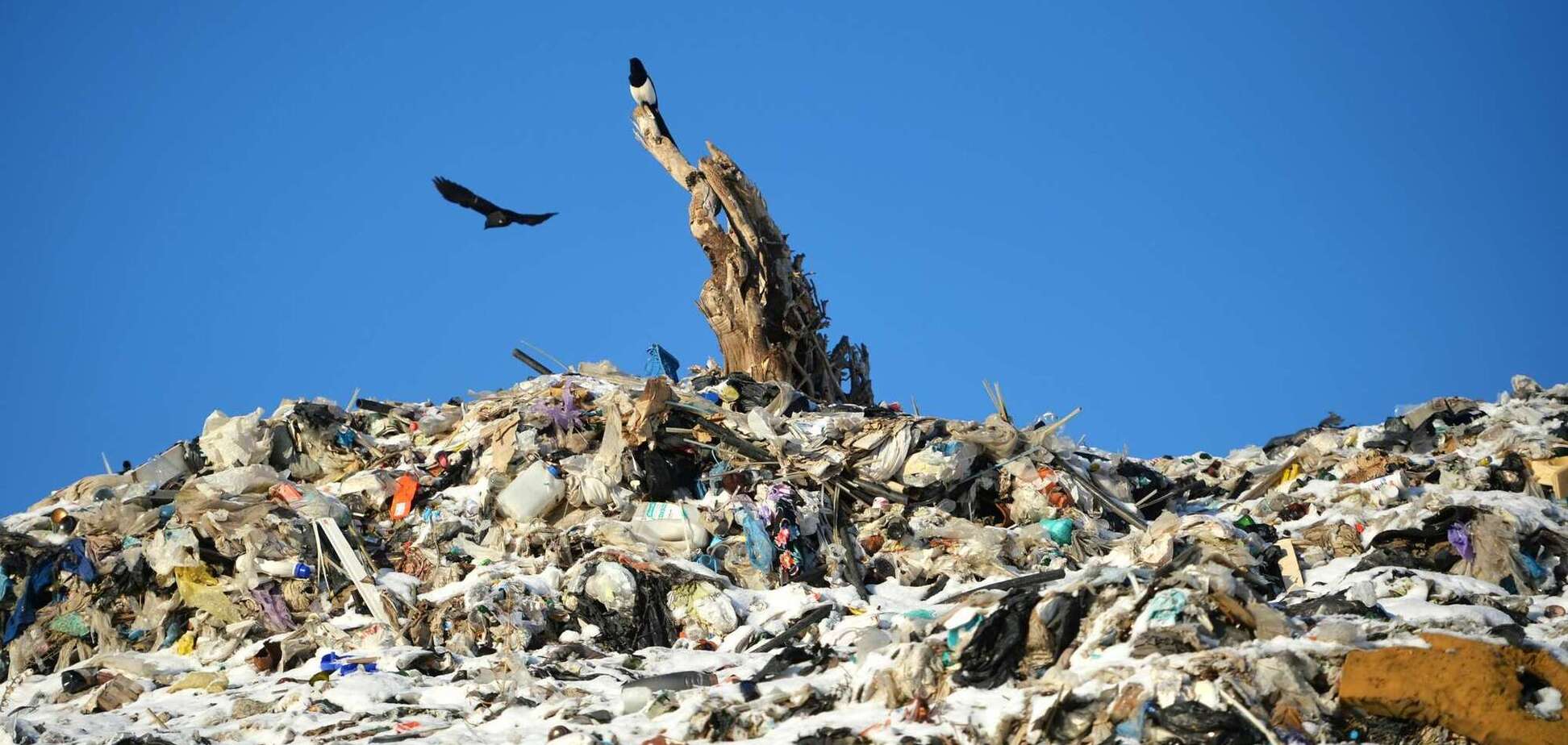 Эколог обвинил нардепа Мариковского в построении коррупционных схем на рынке отходов