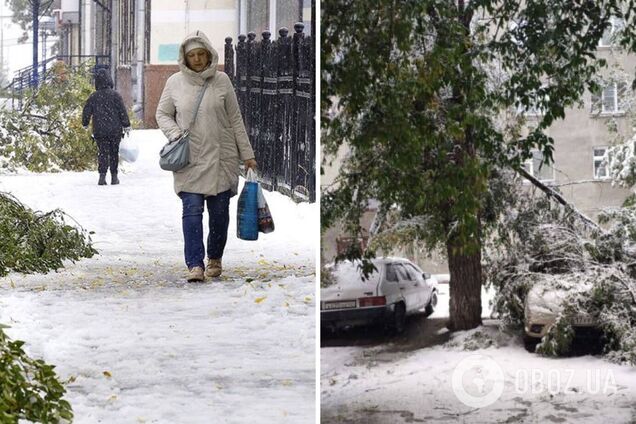В России на один из регионов обрушился снежный ураган: ветер валил деревья, возникли проблемы с транспортом. Фото