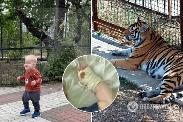 У Криму тигр відкусив палець однорічній дитині в парку. Фото і деталі трагедії