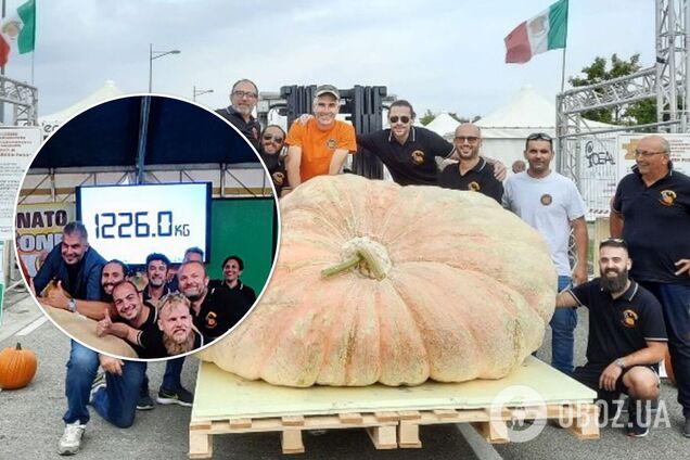 Растение-гиганта отправят на чемпионат Европы