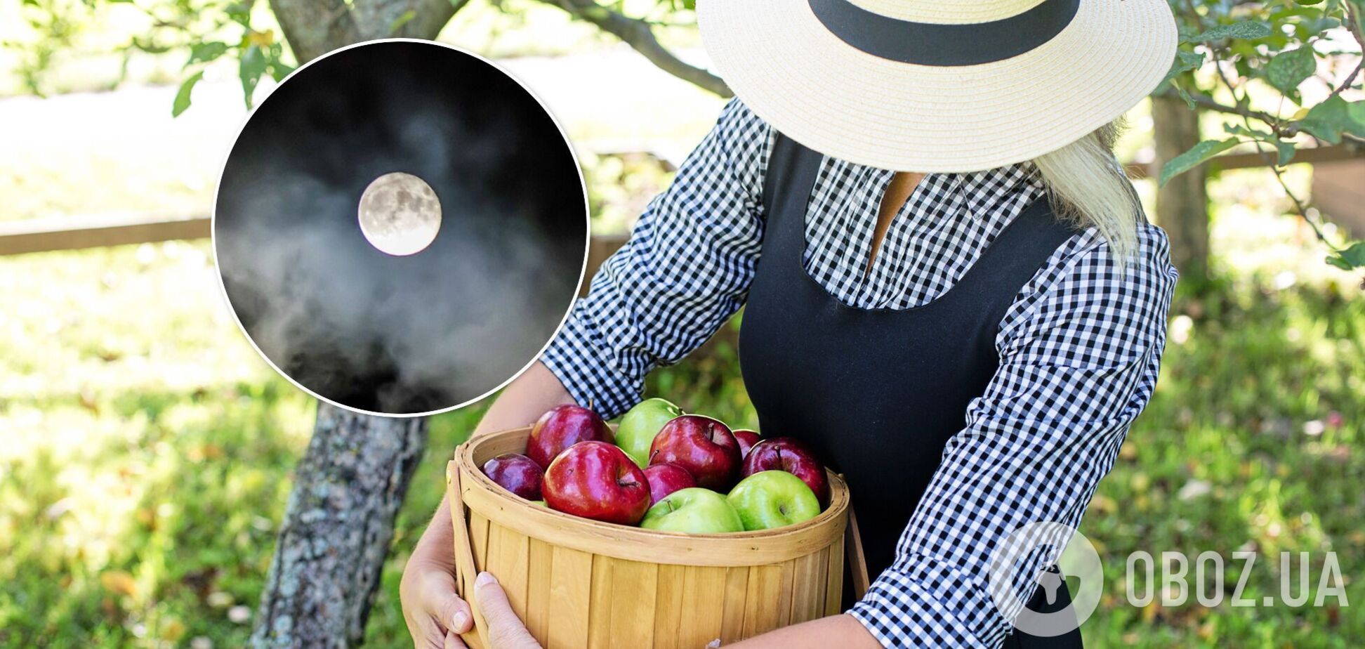 Посевной календарь на октябрь 2021 Украина